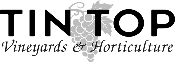 Tin Top Vineyards